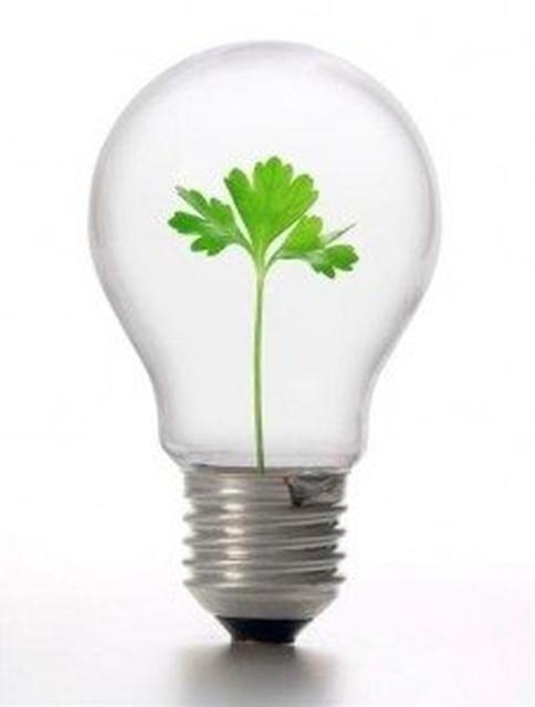 Fundacja Acer ogłasza pierwszy konkurs pro-ekologiczny Incredible Green Contest