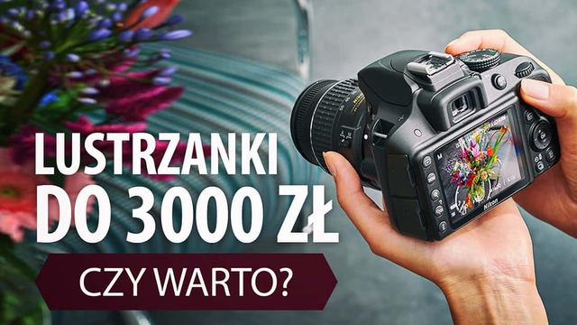 Lustrzanki do 3000 zł — Czy Wystarczą? Dla Kogo są Kierowane?