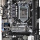 Płyta główna ASRock B250M-HDV, B250, DDR4, HDMI, DVI-D, VGA, microATX