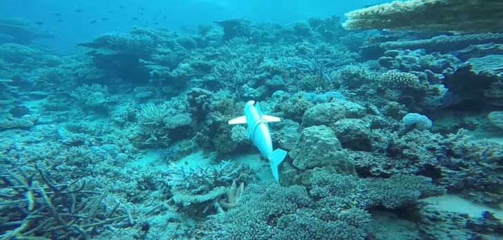 Robo-ryba pomoże odkryć tajemnice mórz i oceanów
