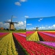 Panasonic TX-50DX700E