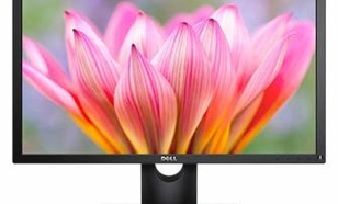 Dell 23 E2318HN IPS LED Full HD (1920x1080) /16:9/VGA/HDMI(1.4)/ 3Y