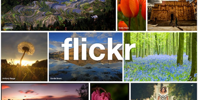 Scout - Znajdź Swoje Zdjęcia w Flickr Explorer