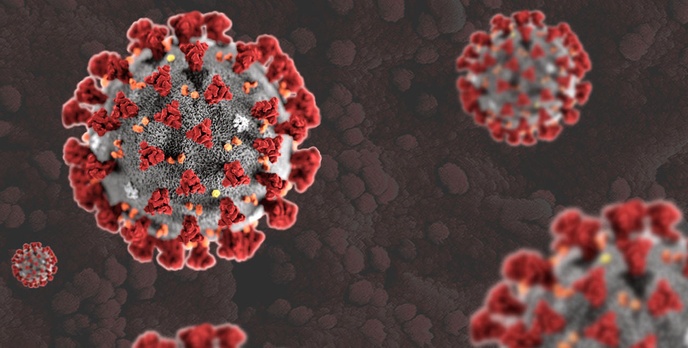 Wirus wywołujący COVID-19 przetrwa na telefonie nawet 28 dni