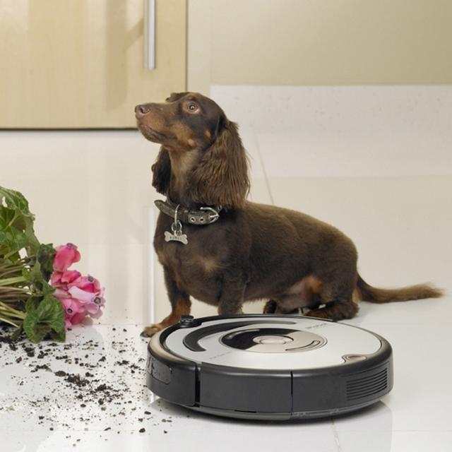 iRobot Roomba 564 PET - bezworkowy odkurzacz dla posiadaczy zwierząt