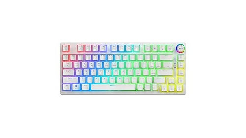 Savio Phenix White Yellow Pudding Biały