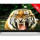 TCL U55C7026