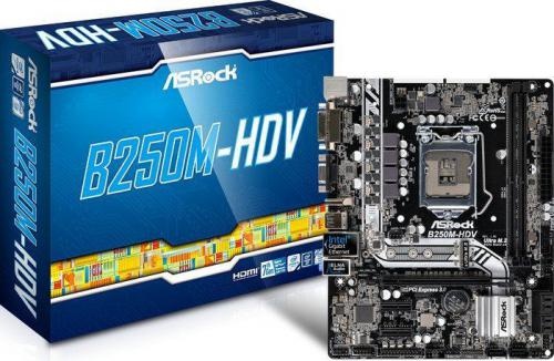 Płyta główna ASRock B250M-HDV, B250, DDR4, HDMI, DVI-D, VGA, microATX
