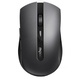 Rapoo RAPOO MYSZ BEZPRZEW. 2.4 GHz/BLUETOOTH 7200M SZARA