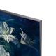 Samsung QLED QE55Q8DNA