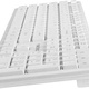 Natec Discus slim biała (NKL-1184)