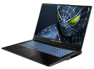17 calowy laptop gamigowy Dream Machines RG5050-17PL24