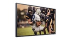 Samsung The Terrace QN65LST7TA