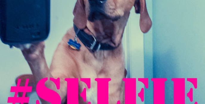 Młody Człowiek Zginął Przez Selfie!