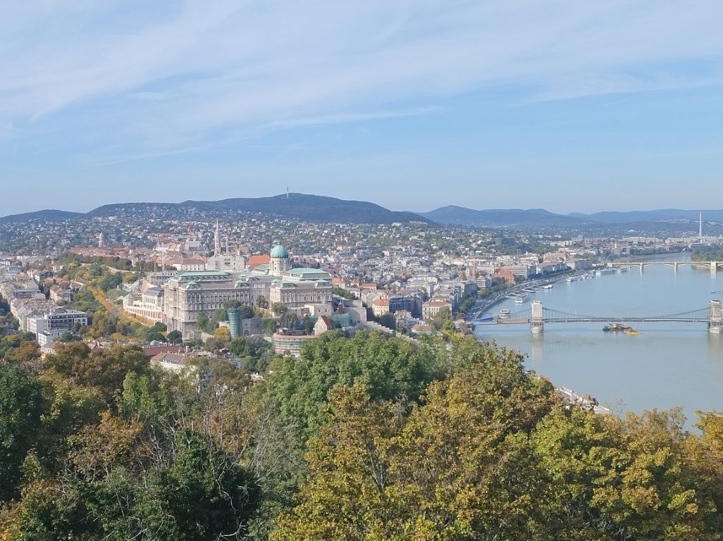 Zdjęcie z podwójnym cyfrowym przybliżeniem