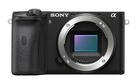 Sony α6600
