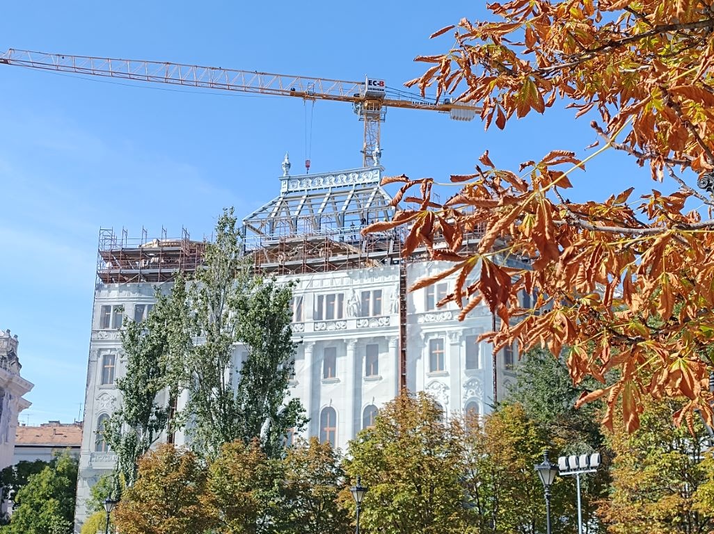 Podwójne przybliżenie w Motoroli Edge 30 Neo nie wygląda zbyt atrakcyjnie