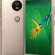 Motorola Moto G5 Złoty (XT1676_gold)