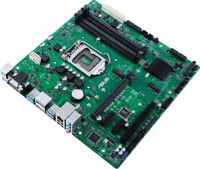 Asus Prime B365M-C/CSM (90MB10U0-M0EAYC)