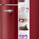 GORENJE Retro Collection RF 62308 OR-L