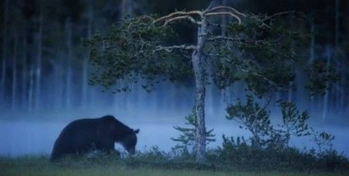 PORADA: Jak korzystać z czułości ISO - Sony W270