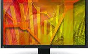 Eizo FlexScan S2133-BK