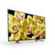Sony KD-49XG8096