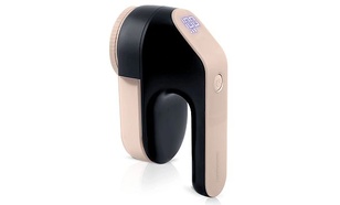 Berdsen BD-391