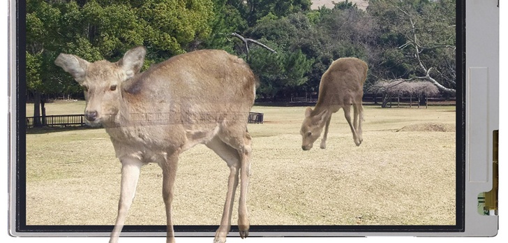 3D bez okularów - nowe ekrany od Sharp-a