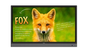 BenQ RP653K