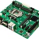 Asus H110M-C2/CSM (90MB0RZ0-M0EAYC)