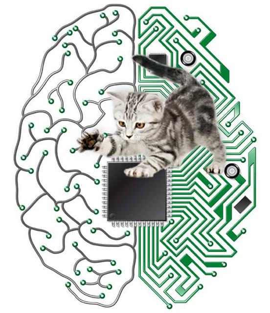 IBM - komputer jak ludzki mózg