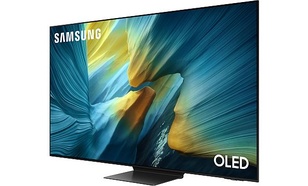 Samsung QE65S95F
