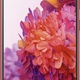 Samsung Galaxy S20 FE 6/128GB Dual SIM Czerwony (SM-G780GZRDEUE)