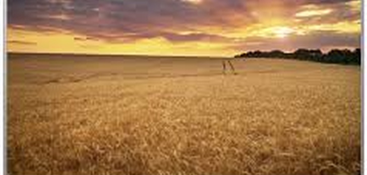 Chcesz Kupić Sprzęt RTV lub AGD? Zobacz Aktualne TOPowe Promocje i Skorzystaj!