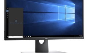 Dell 19,5'' P2017H LED 16:9/1600x900/VGA/3YPPG