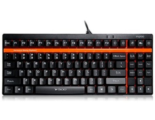 Rapoo V500