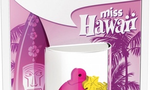 EMTEC Pendrive 8GB Smilley World Miss Hawaii P