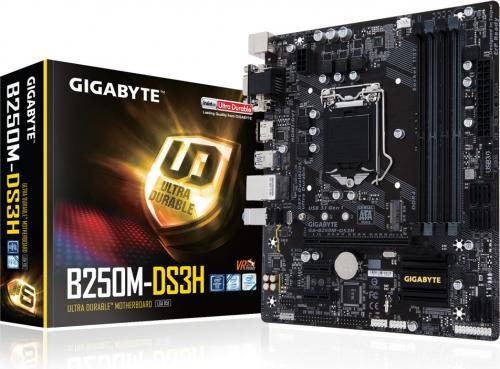 Płyta główna Gigabyte GA-B250M-DS3H, B250, DDR4, HDMI, DVI, VGA, mATX