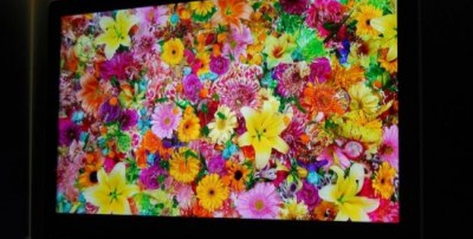 Sharp wprowadza telewizory z czterokolorową matrycą QuadPixel LED