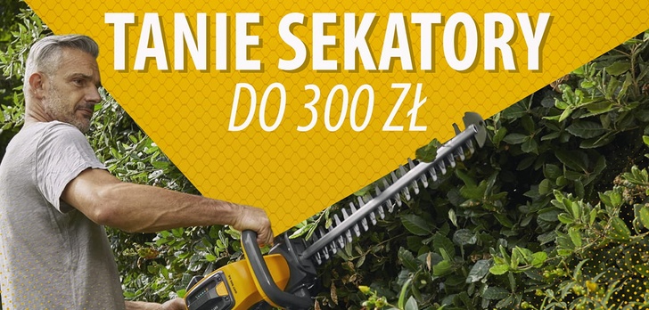 Tanie elektryczne nożyce do żywopłotu do 300 zł |TOP 5|