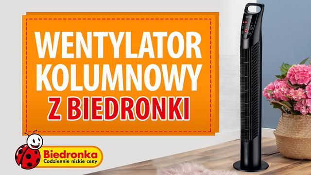 Wentylator kolumnowy z Biedronki - Kiedy i za ile?