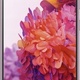 Samsung Galaxy S20 FE 5G 128GB Dual SIM Fioletowy (SM-G781BLV)