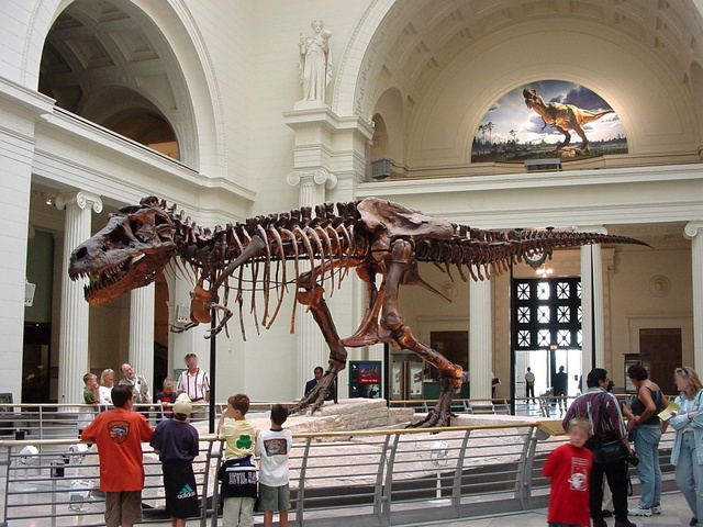 Tyranozaur W Ogródku? Jego Replika Jest Na Sprzedaż!