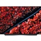 LG OLED ThinQ AI C9