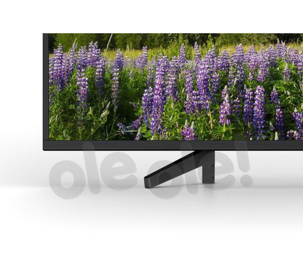 Sony BRAVIA KD-49XF7005