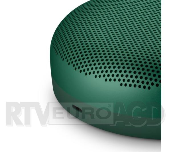 Bang & Olufsen Beosound A1 2nd Gen (green)