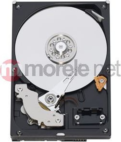Western Digital Caviar Blue 500GB 3.5" SATA III (WD5000AAKX)