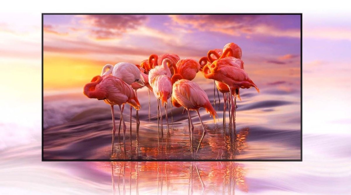  Samsung QLED QE50Q67T wyświetlający flamingi