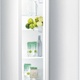Gorenje Chłodziarko-zamrażarka RB4121CW